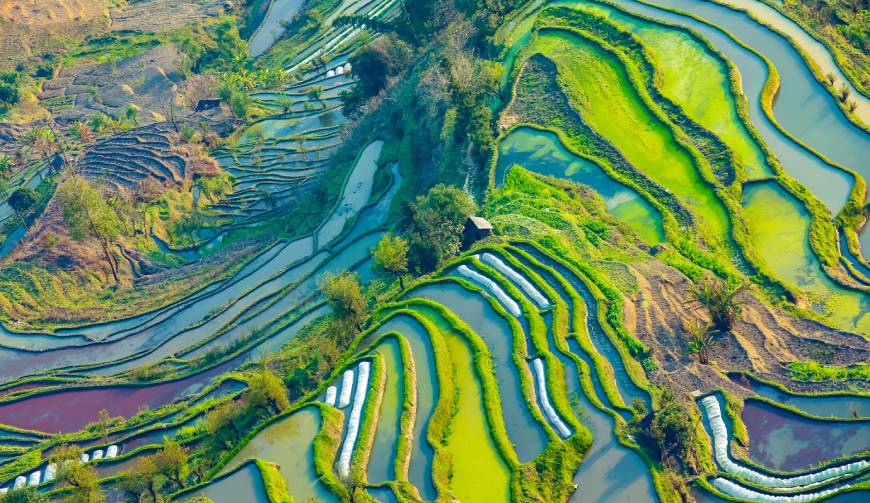 宝妈必备神器：大邑县产品视频拍摄轻松育儿好帮手